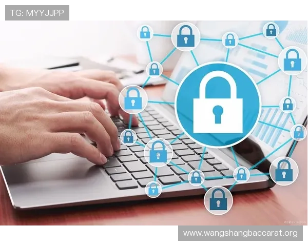 365真人登录账号安全保障措施全面升级，保护玩家个人信息与资金安全无忧